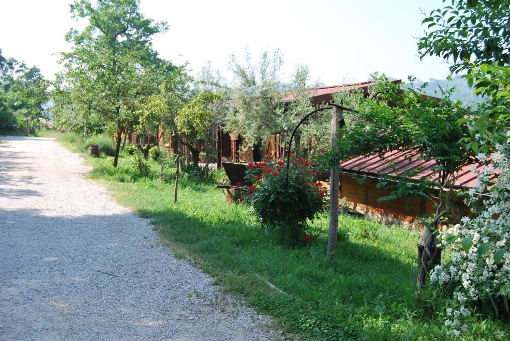 Villa Agriturismo Cisogna Anagni Exterior foto